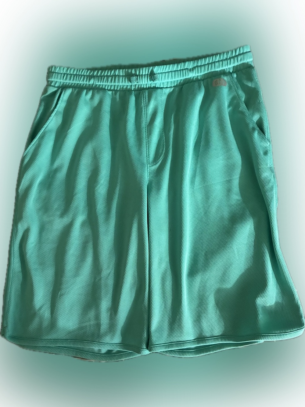 GAP Mint Green Athletic Shorts